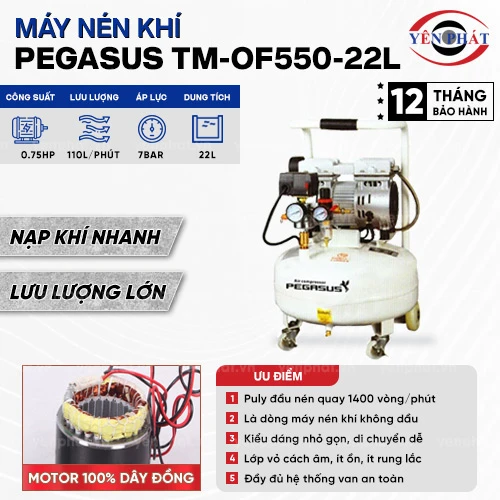 Máy nén khí giảm âm PEGASUS TM-OF550-22L 2