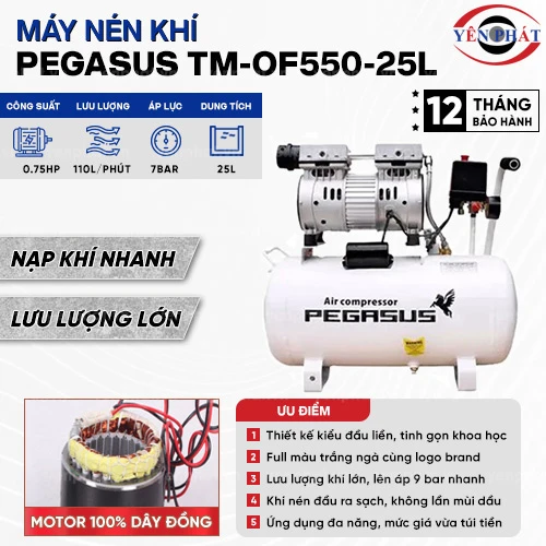 Máy nén khí giảm âm PEGASUS TM-OF550-25L 2
