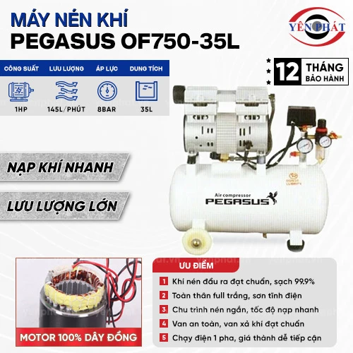 Máy nén khí không dầu giảm âm PEGASUS OF750-35L 2