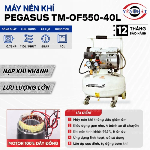 Máy nén hơi mini không dầu Pegasus TM-OF550-40L 2