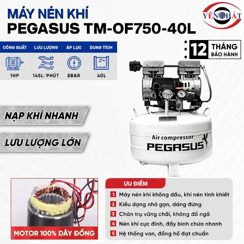 Máy nén khí không dầu Pegasus TM-OF750-40L 2