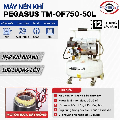 Máy nén khí không dầu Pegasus TM-OF750-50L 2