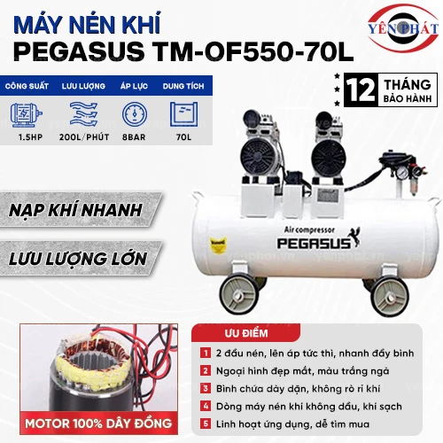 Máy nén không khí không dầu Pegasus TM-OF550-70L 2