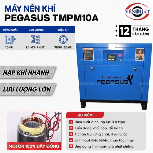 Máy nén khí trục vít Pegasus TMPM10A 2