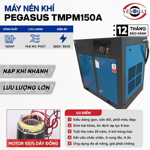 Máy nén khí trục vít Pegasus TMPM150A 2