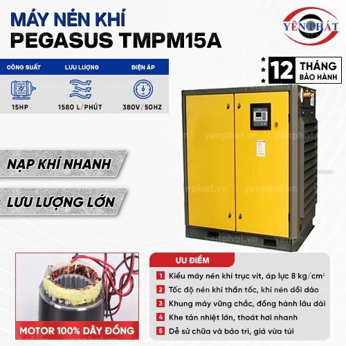 Máy nén khí trục vít Pegasus TMPM15A 2