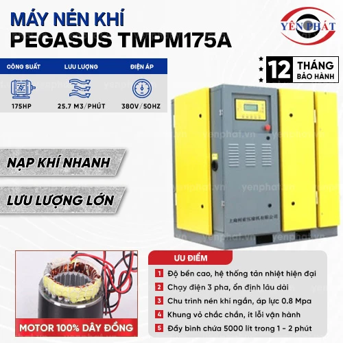 Máy nén khí trục vít Pegasus TMPM175A 2