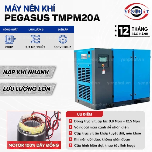Máy nén khí trục vít Pegasus TMPM20A 2