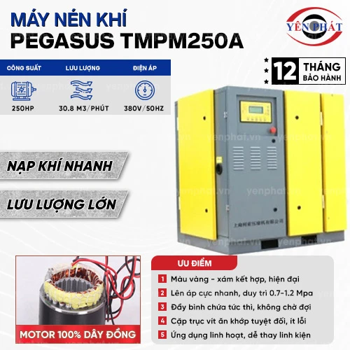Máy nén khí trục vít Pegasus TMPM250A 2