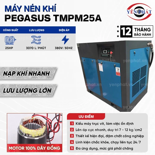 Máy nén khí trục vít Pegasus TMPM25A 2