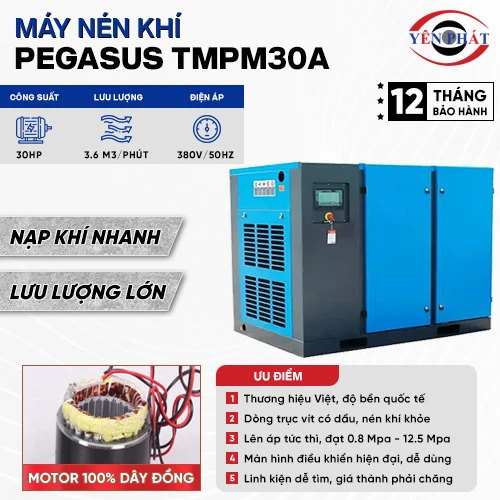 Máy nén khí trục vít Pegasus TMPM30A 2