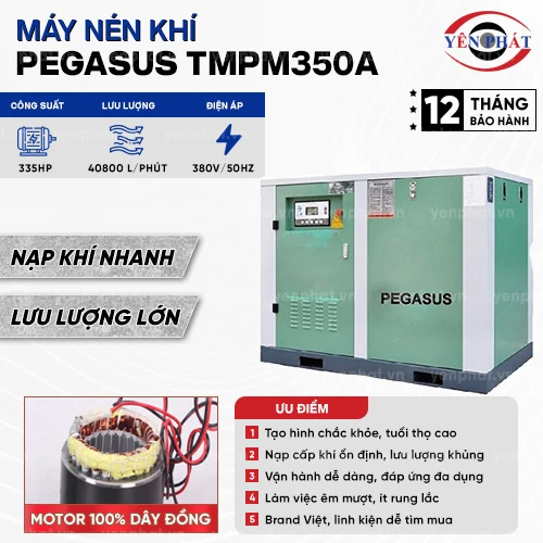 Máy nén khí trục vít Pegasus TMPM350A 2