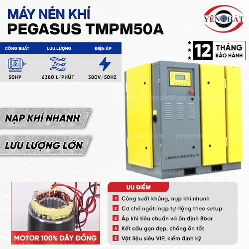 Máy nén khí trục vít Pegasus TMPM50A 2