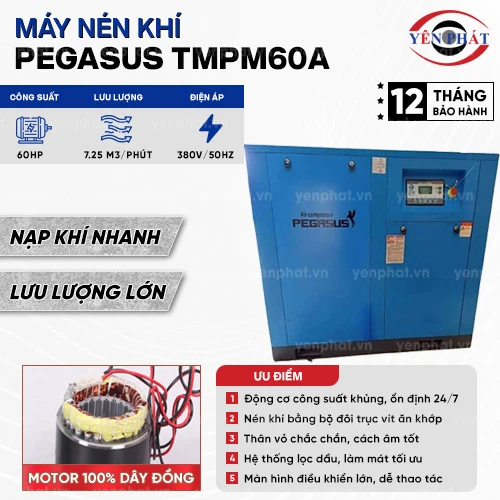 Máy nén không khí trục vít Pegasus TMPM60A 2