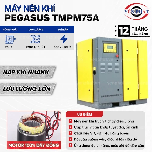 Máy nén khí trục vít Pegasus TMPM75A 2