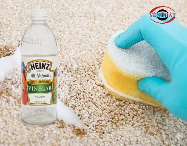 Cách giặt thảm lông cừu với giấm