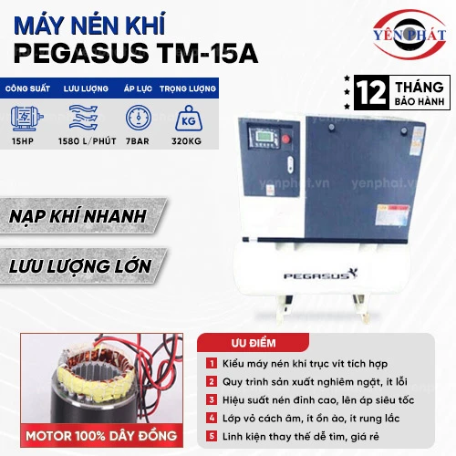 Máy nén khí trục vít Pegasus TM-15A 2