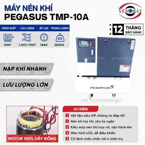 Máy nén khí trục vít Pegasus TMP-10A 2