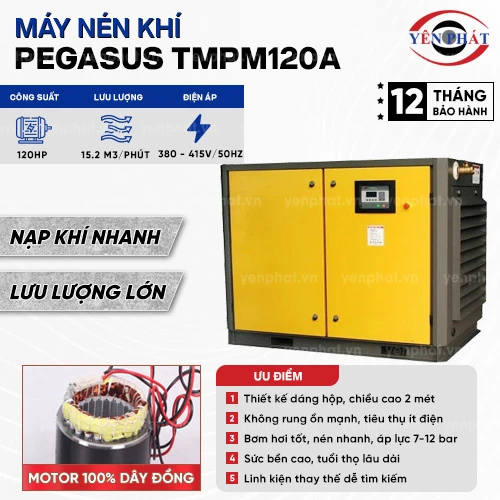 Máy nén khí trục vít Pegasus TMPM120A 2