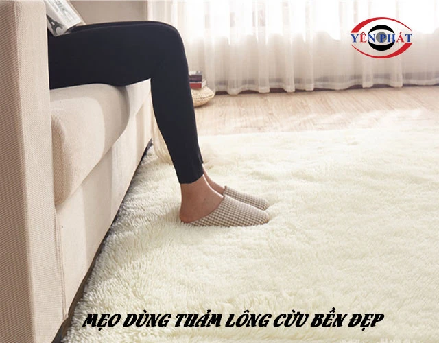 Mẹo dùng thảm lông cừu bền đẹp, sạch như mới
