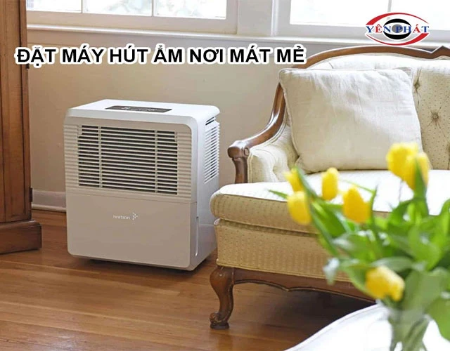 Cách phòng tránh lỗi H1 khi sử dụng máy hút ẩm