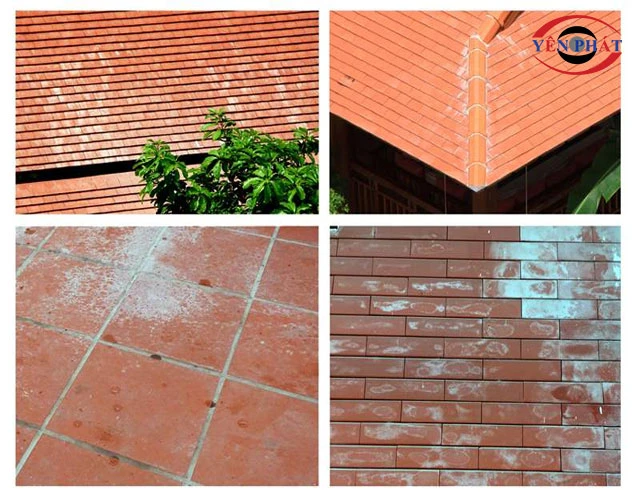 Nguyên nhân khiến xi măng bám trên nền gạch