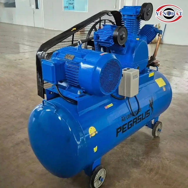 Pegasus 15HP TM-W-1.6/12.5