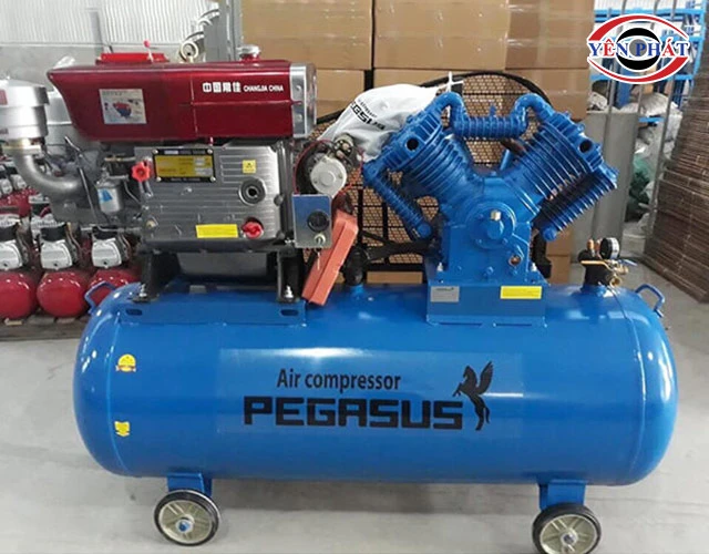 Pegasus 15HP TM-W-1.6/8-500L