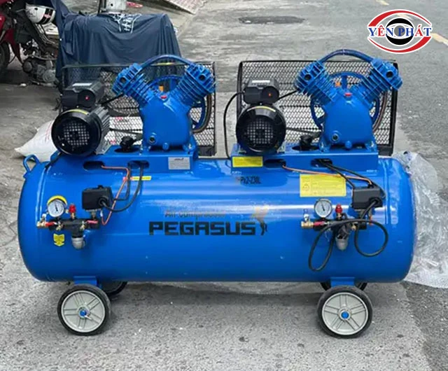 Pegasus TM-V-0.25/8x2-230L