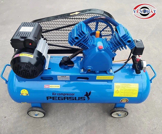 Pegasus TM-V-0.25/8-70L