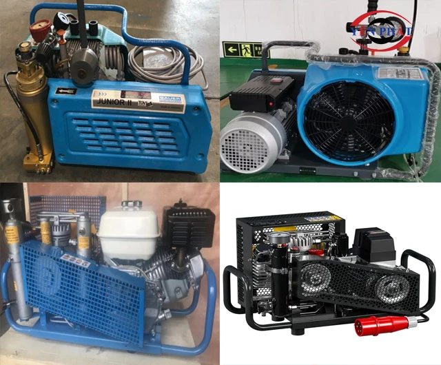 Mẫu mã phong phú, thiết kế di động