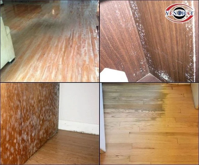 Dấu hiệu nhận biết sàn gỗ đã đến lúc cần đánh bóng