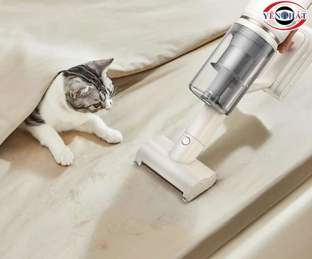 Chọn mua máy hút lông mèo