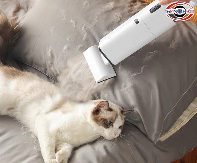 máy hút lông mèo tăng hiệu quả làm sạch
