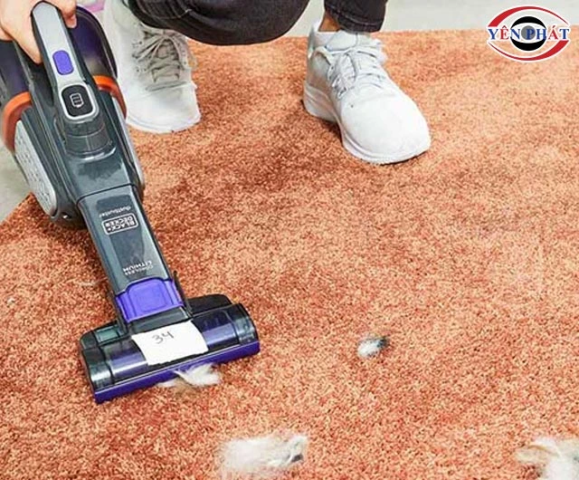 máy hút lông mèo trên thảm