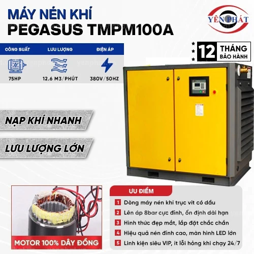 Máy nén khí trục vít Pegasus TMPM100A 2