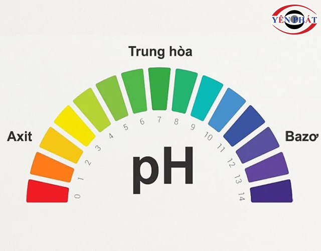 độ pH an toàn của nước rửa xe 3M