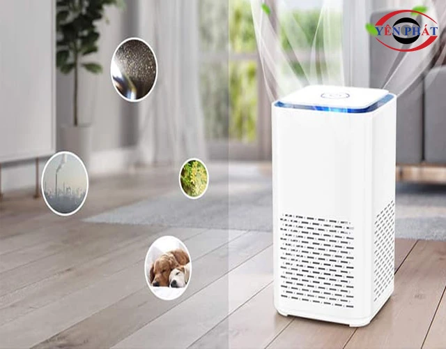 Máy lọc không khí có hút ẩm được không?