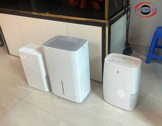 Cty BIGMART cho thuê máy hút ẩm