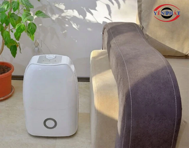 Máy hút ẩm gia đình