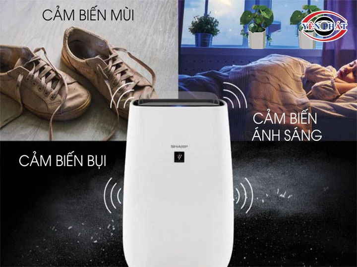 Máy lọc không khí Sharp FP-J40E-W bộ 3 cảm biến