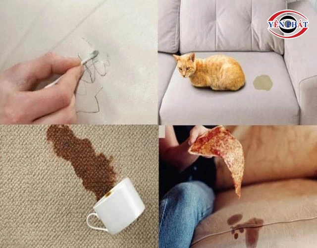 Phân loại các loại vết bẩn trên sofa