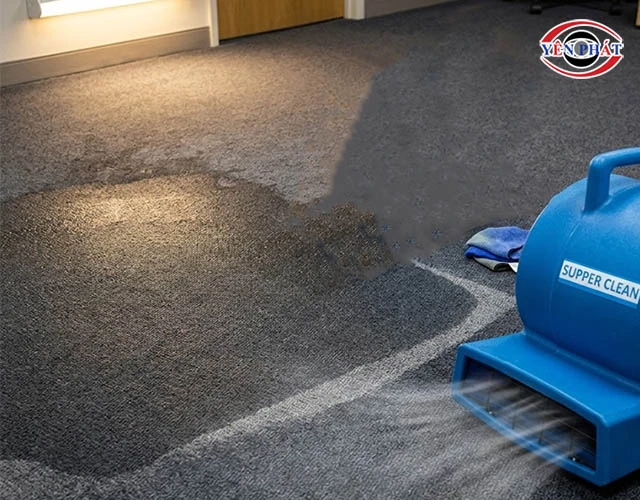 sử dụng quạt sấy thảm