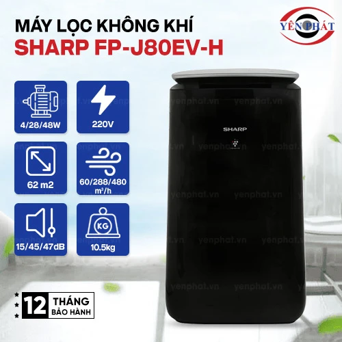 Máy lọc không khí Sharp FP-J80EV-H 2