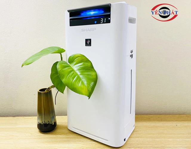 Máy lọc không khí tạo ẩm