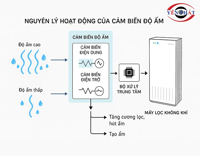 nguyên lý hoạt động của cảm biến độ ẩm Daikin