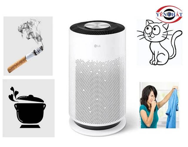 Khử mùi hôi và các chất độc hại