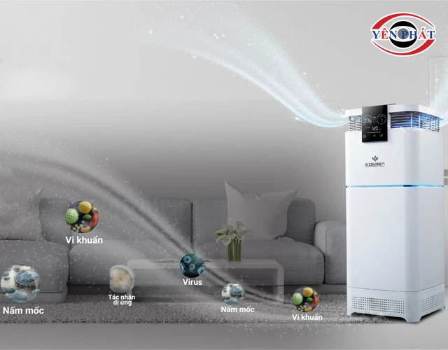 Tiêu diệt vi khuẩn, virus và nấm mốc