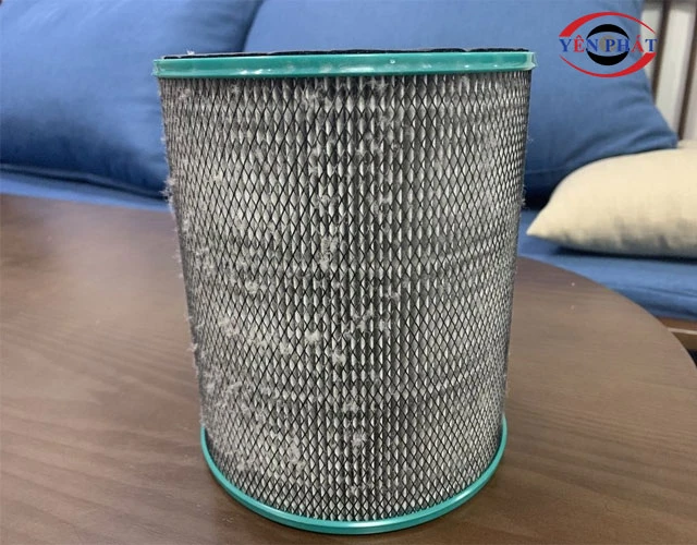 Tích tụ vi khuẩn, nấm mốc tại màng lọc: