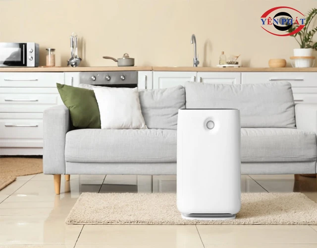 Cân bằng độ ẩm, bảo vệ da và đường hô hấp